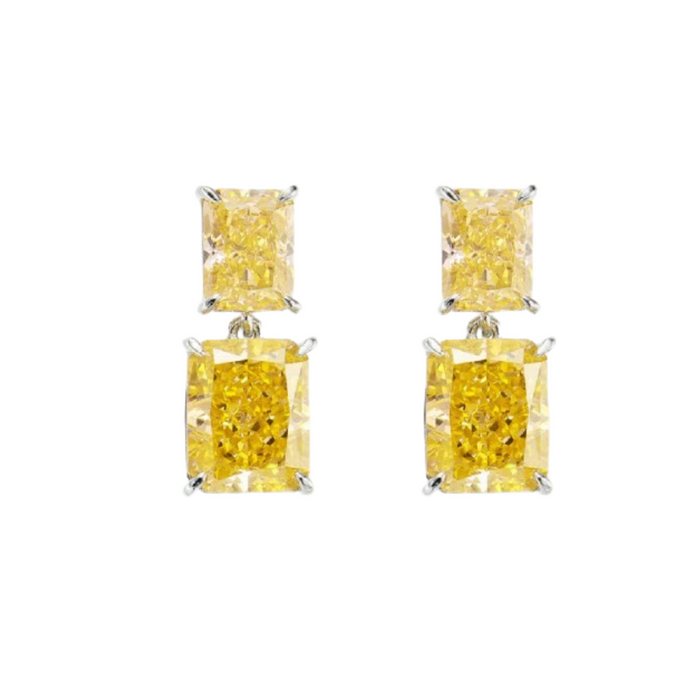 Hildwina Rectangular Drop Earrings